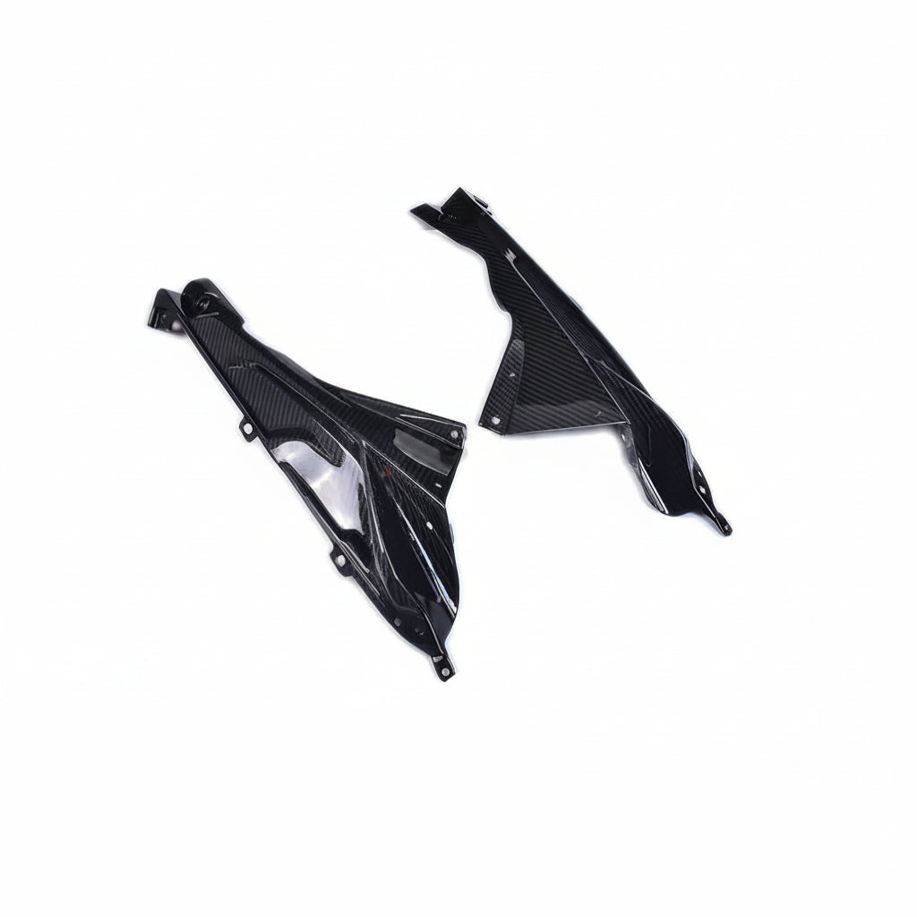 BMW S1000RR Carbon Fiber 04 14