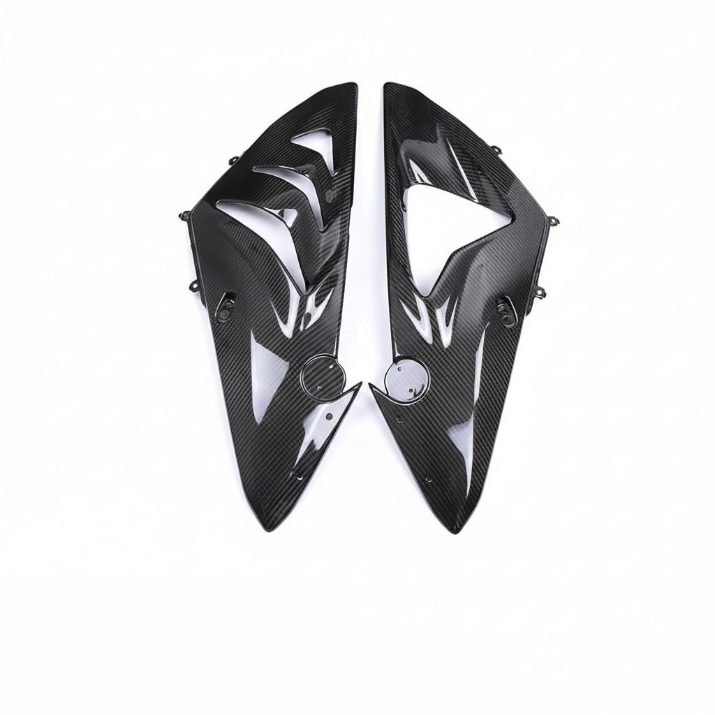 BMW S1000RR Carbon Fiber 04 14