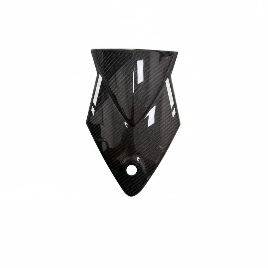 BMW S1000RR Carbon Fiber 04 14