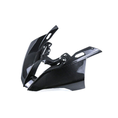 BMW S1000RR and M1000RR Carbon fiber 19 22