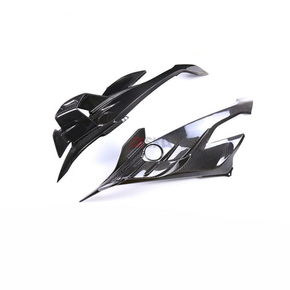 BMW S1000RR and M1000RR Carbon fiber 19 22