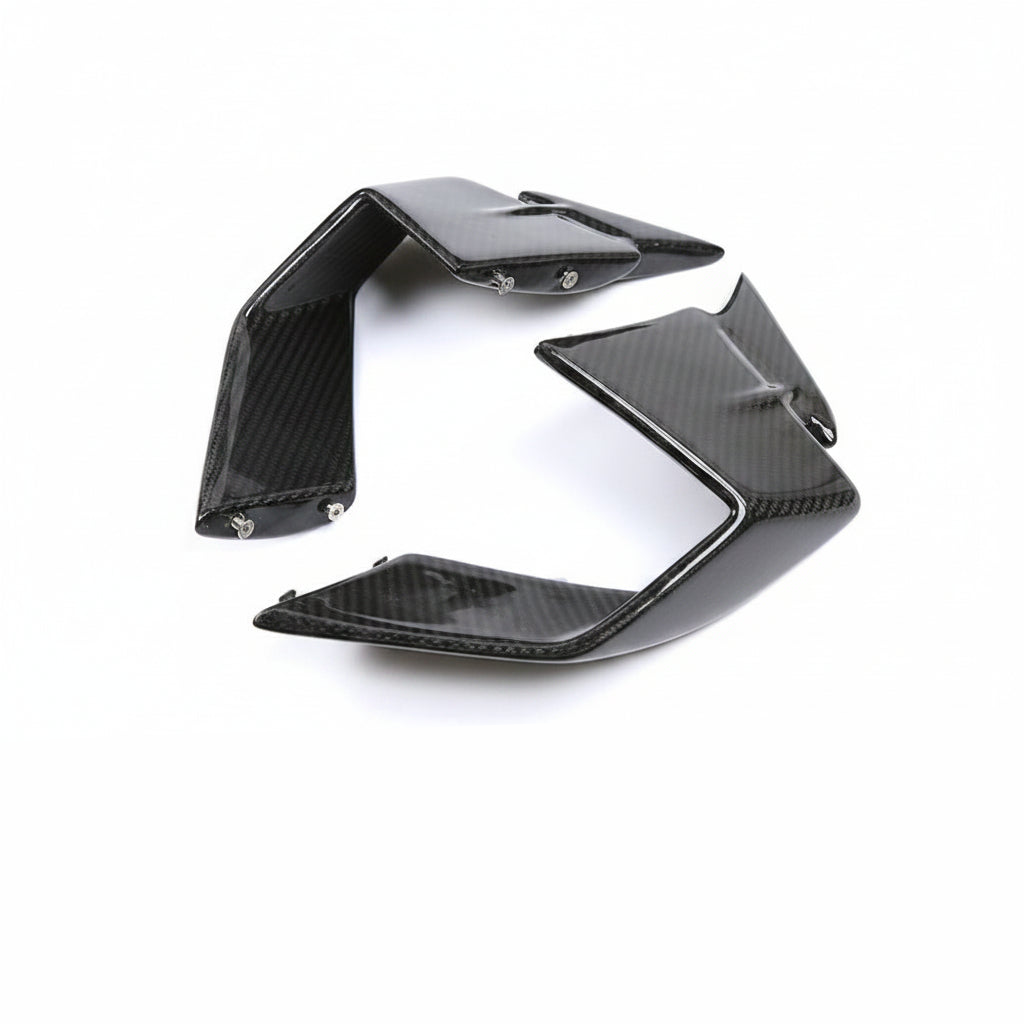 BMW S1000RR and M1000RR Carbon fiber 19 22