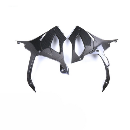 BMW S1000RR and M1000RR Carbon fiber 19 22