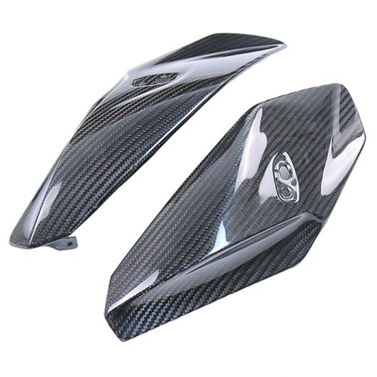 BMW S1000R Carbon Fiber 14 20