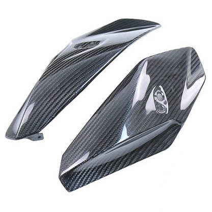 BMW S1000R Carbon Fiber 14 20