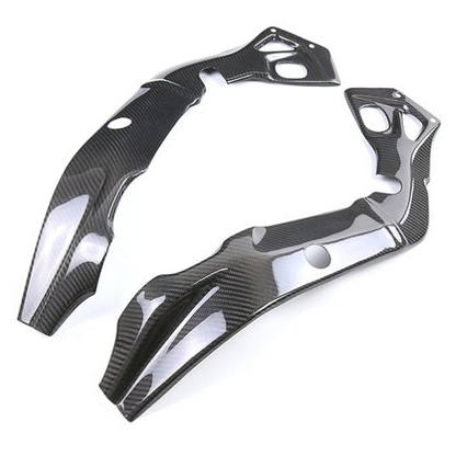 BMW S1000R Carbon Fiber 14 20