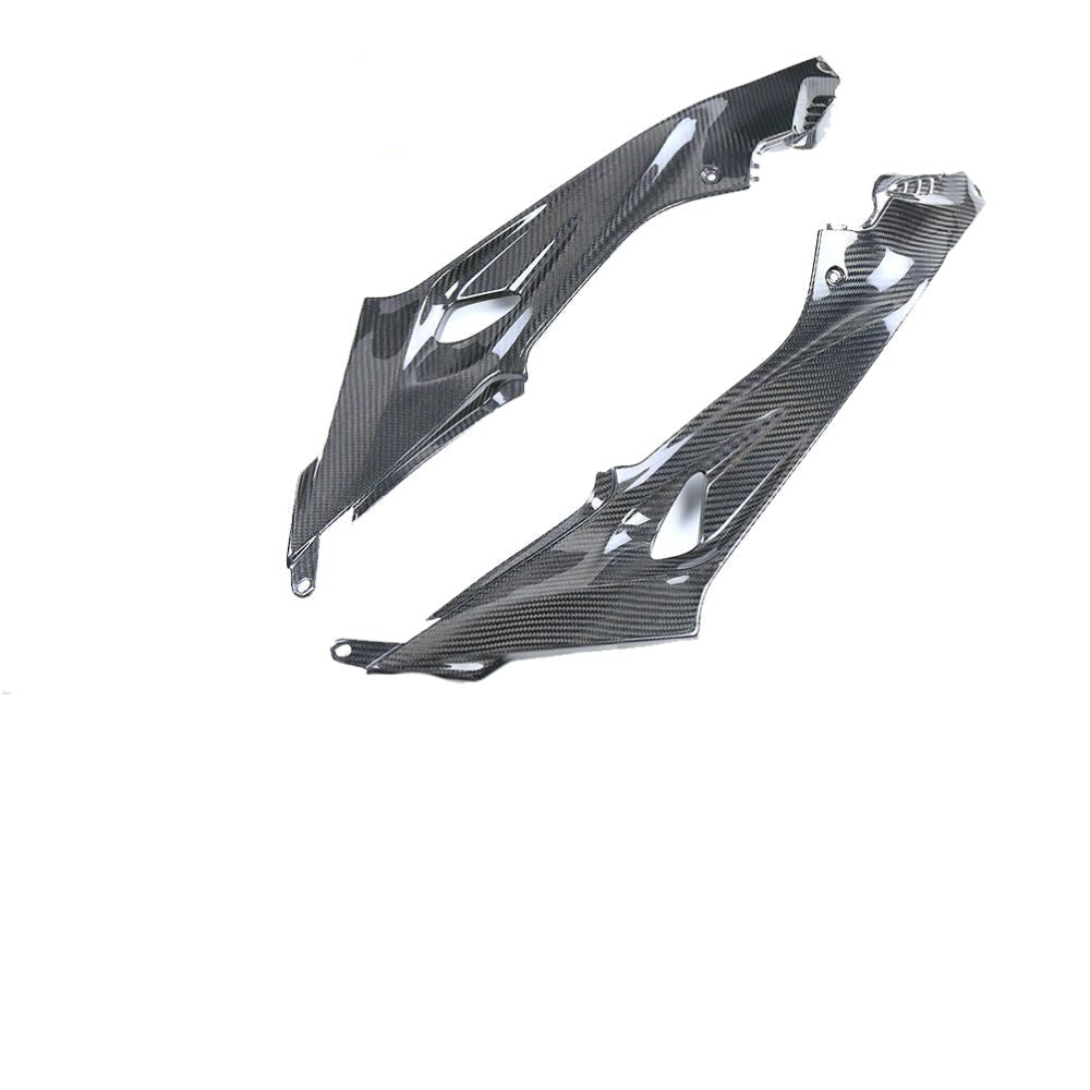 BMW S1000R Carbon Fiber 14 20