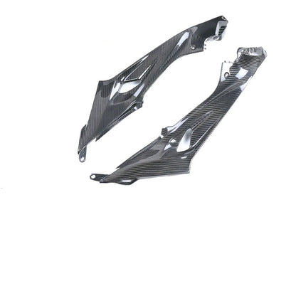 BMW S1000R Carbon Fiber 14 20
