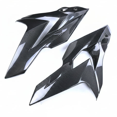 BMW S1000R Carbon Fiber 14 20