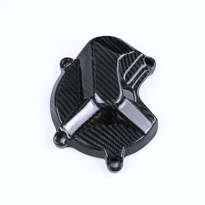 BMW S1000R Carbon Fiber 14 20