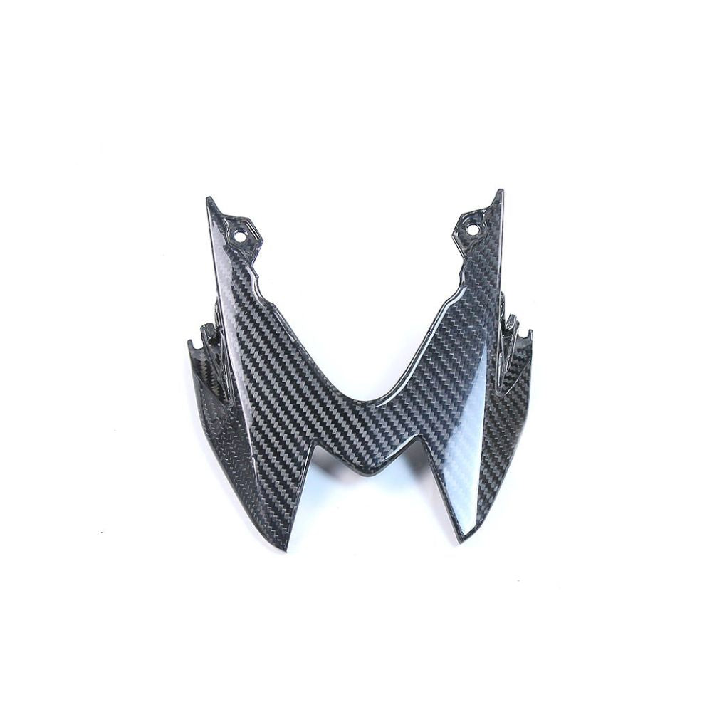 BMW S1000R Carbon Fiber 14 20