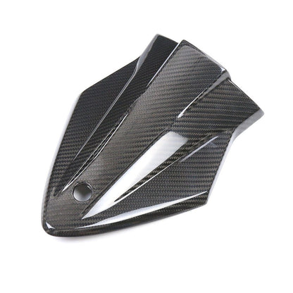 BMW S1000R Carbon Fiber 14 20
