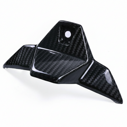 BMW S1000R Carbon fiber 21 24