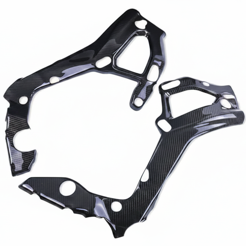 BMW S1000R Carbon fiber 21 24