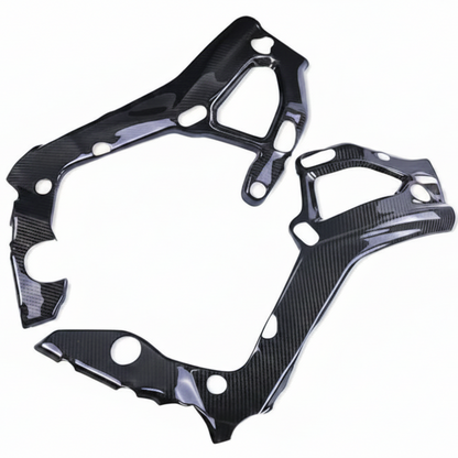 BMW S1000R Carbon fiber 21 24