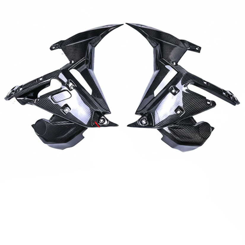 BMW S1000R Carbon fiber 21 24