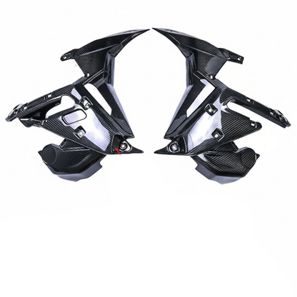 BMW S1000R Carbon fiber 21 24