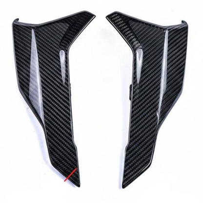 BMW S1000R Carbon fiber 21 24
