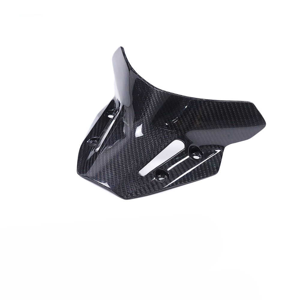 Yamaha MT09 SP Carbon Fiber 21 23