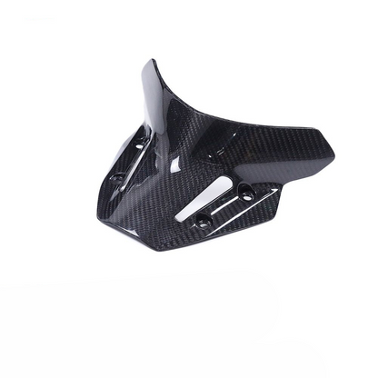 Yamaha MT09 SP Carbon Fiber 21 23