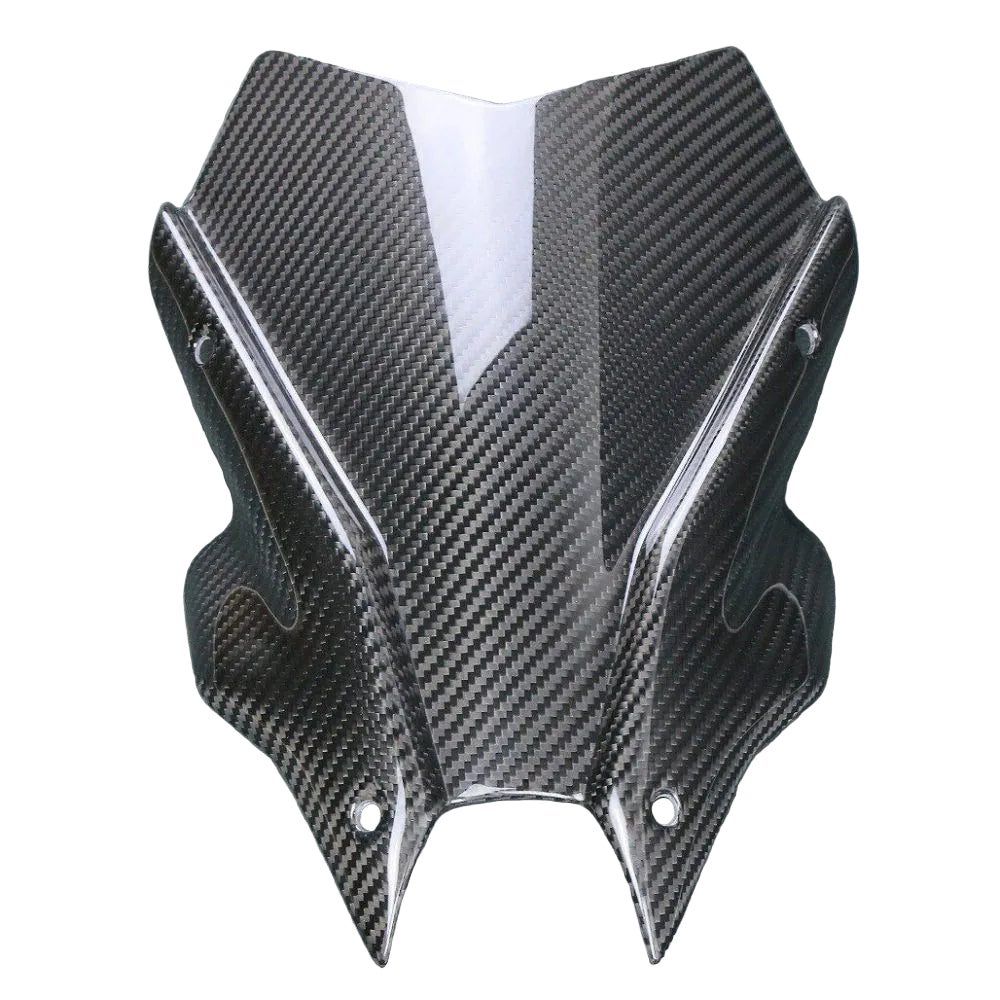 Yamaha MT09 SP Carbon Fiber 21 23