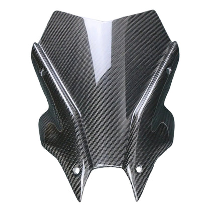 Yamaha MT09 SP Carbon Fiber 21 23