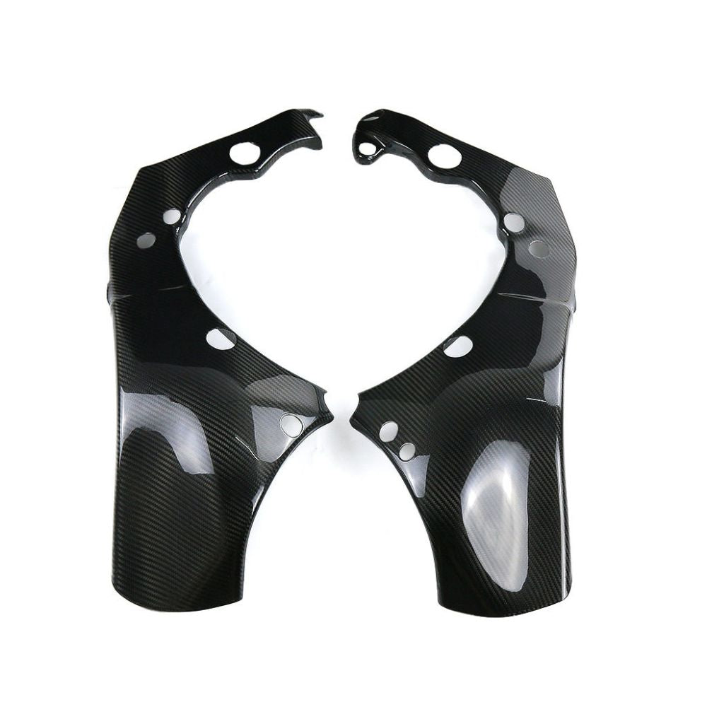 Kawasaki ZX10R Carbon Fiber 16 20