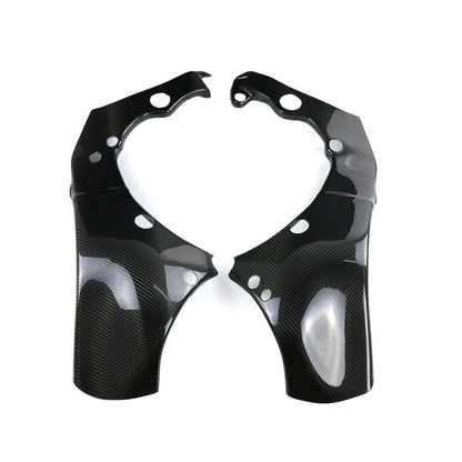 Kawasaki ZX10R Carbon Fiber 16 20