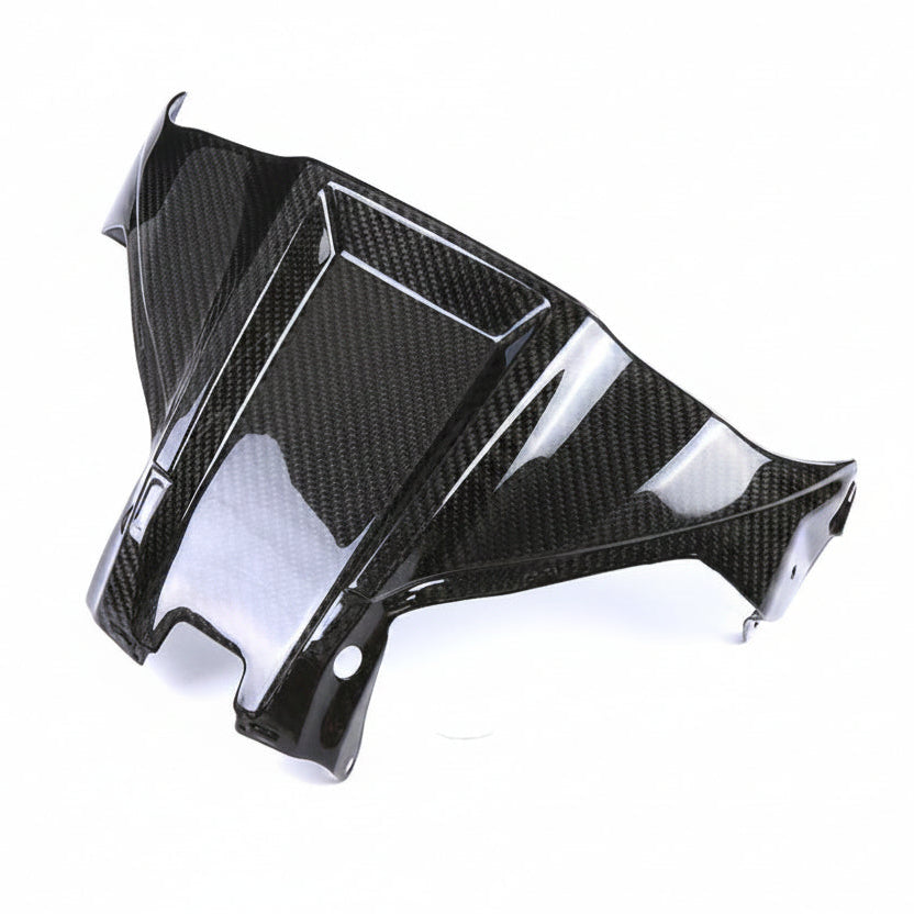 Kawasaki ZX10R Carbon Fiber 16 20