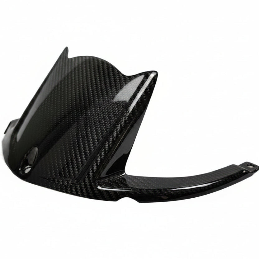 Kawasaki ZX10R Carbon Fiber 16 20