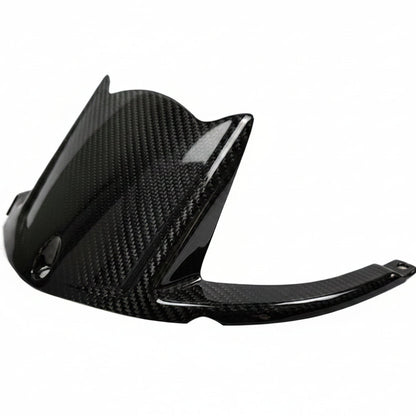 Kawasaki ZX10R Carbon Fiber 16 20
