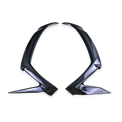 Kawasaki ZX10R Carbon Fiber 16 20