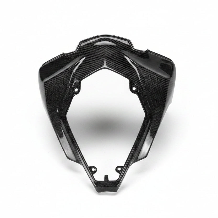 Kawasaki ZX10R Carbon Fiber 16 20