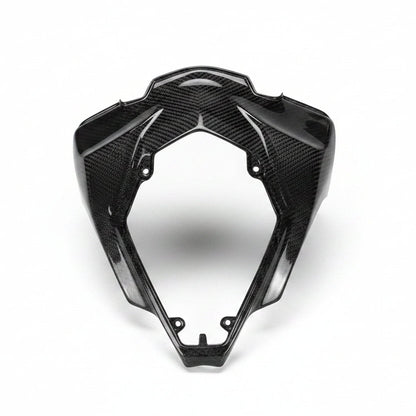 Kawasaki ZX10R Carbon Fiber 16 20