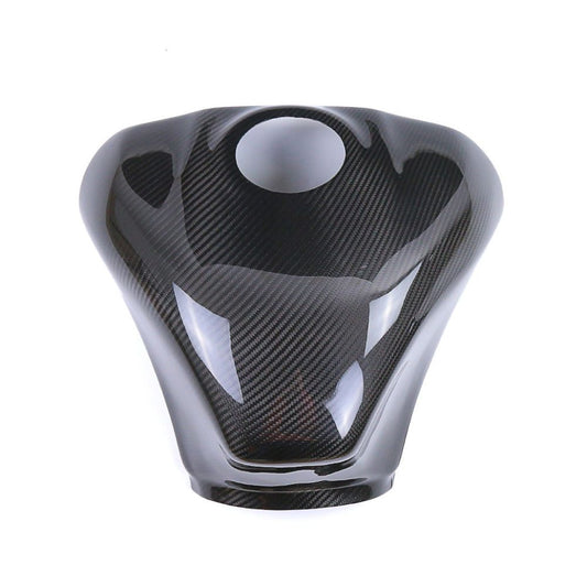 Kawasaki ZX10R Carbon Fiber 21 24