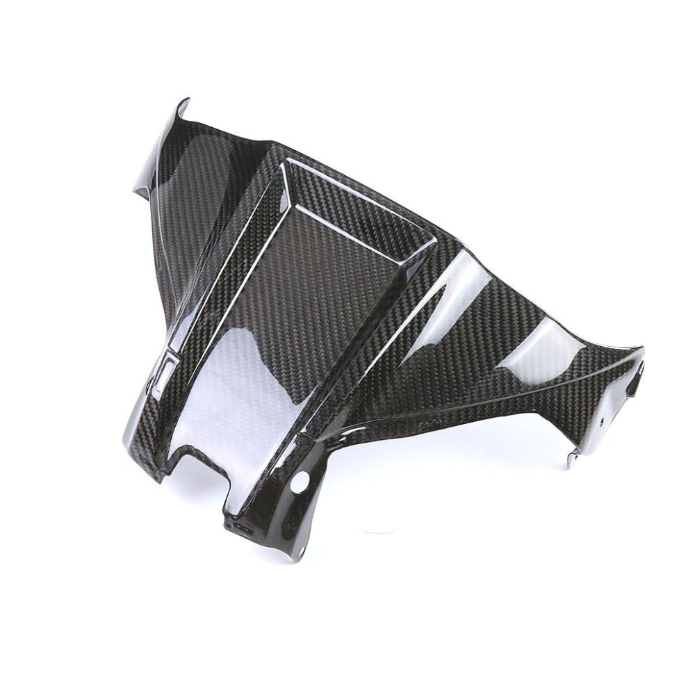 Kawasaki ZX10R Carbon Fiber 21 24