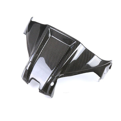 Kawasaki ZX10R Carbon Fiber 21 24