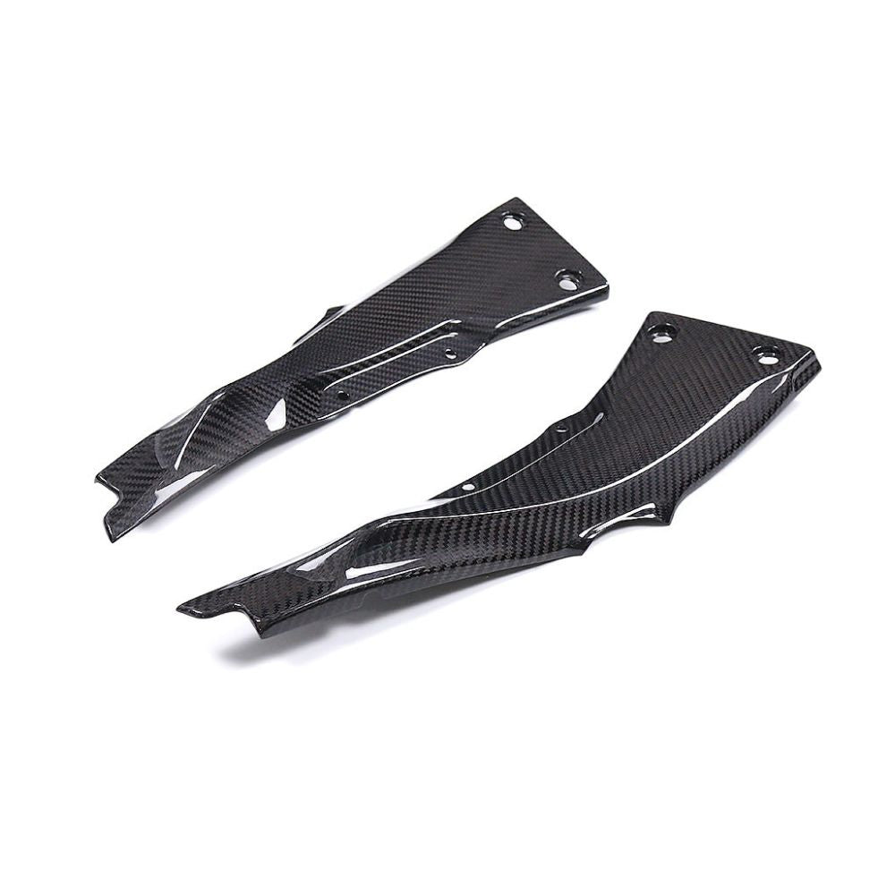 Kawasaki ZX10R Carbon Fiber 21 24