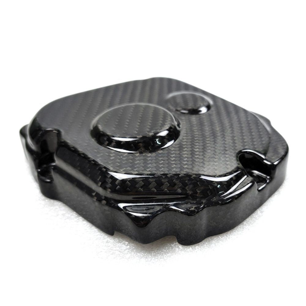 Kawasaki ZX10R Carbon Fiber 21 24