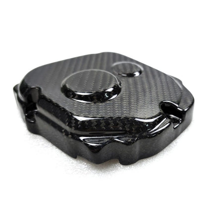 Kawasaki ZX10R Carbon Fiber 21 24
