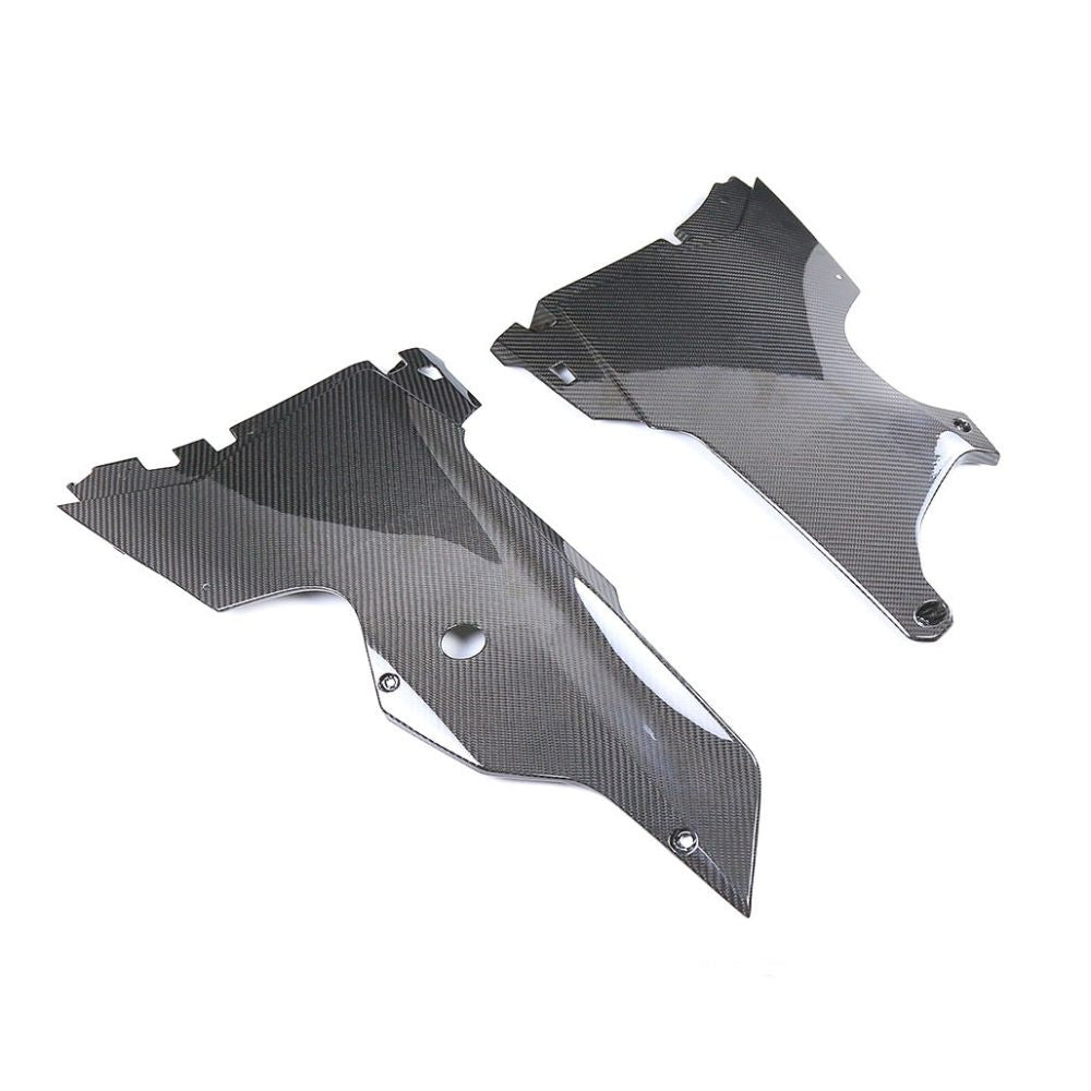 Kawasaki ZX10R Carbon Fiber 21 24