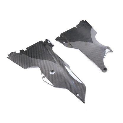 Kawasaki ZX10R Carbon Fiber 21 24