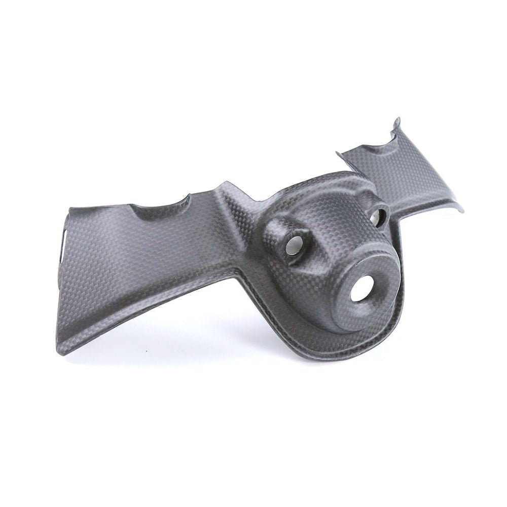 Ducati Panlgale V4 Dry Carbon Fiber 22