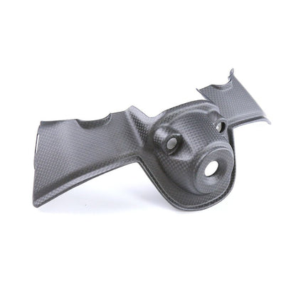 Ducati Panlgale V4 Dry Carbon Fiber 22