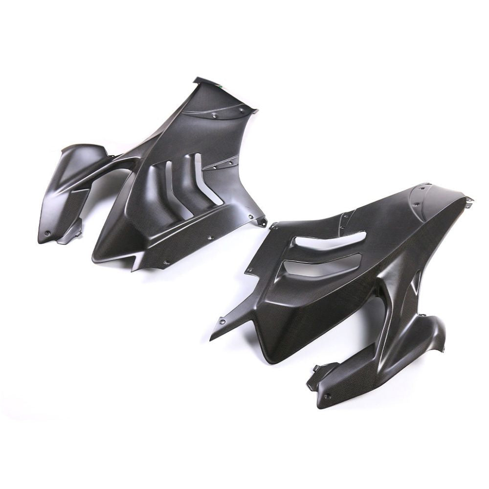 Ducati Panlgale V4 Dry Carbon Fiber 22