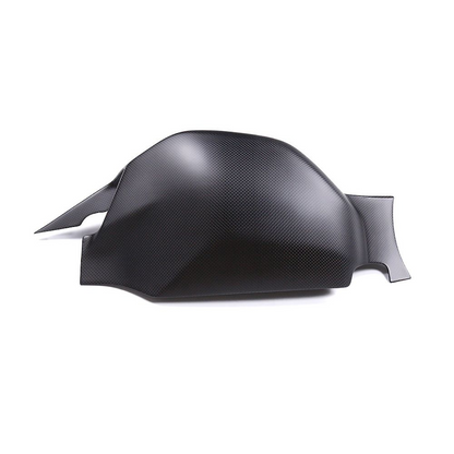 Ducati Panlgale V4 Dry Carbon Fiber 22