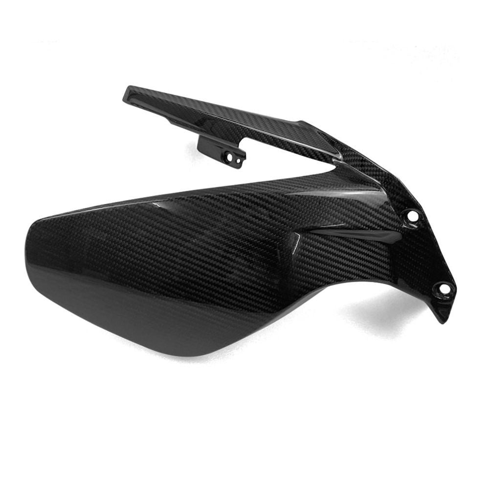 Ducati Panlgale V4 Dry Carbon Fiber 22
