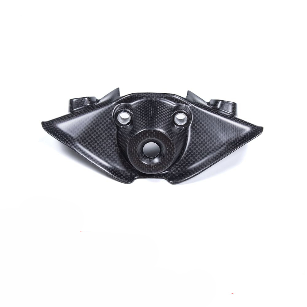 Ducati Panigale V4 V4S Dry Carbon Fiber 25