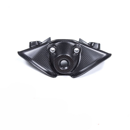 Ducati Panigale V4 V4S Dry Carbon Fiber 25