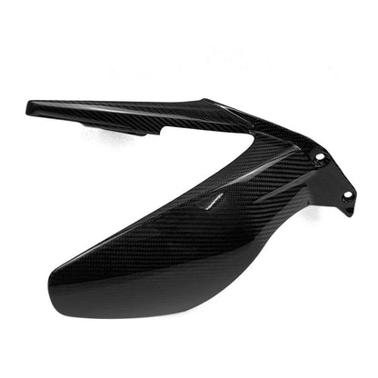 Ducati Panlgale V4 V4S Carbon Fiber 18 20